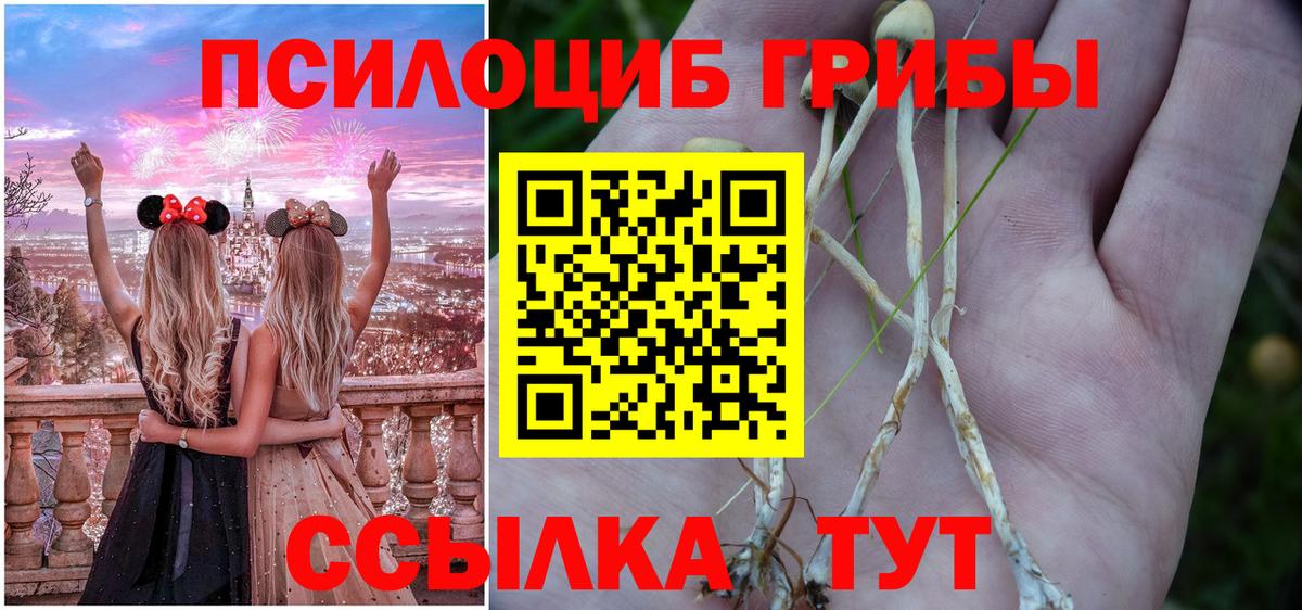 Псилоцибиновые грибы ЛСД  Вход с VPN  Галлюциногенные грибы Magic Shrooms  Сызрань 