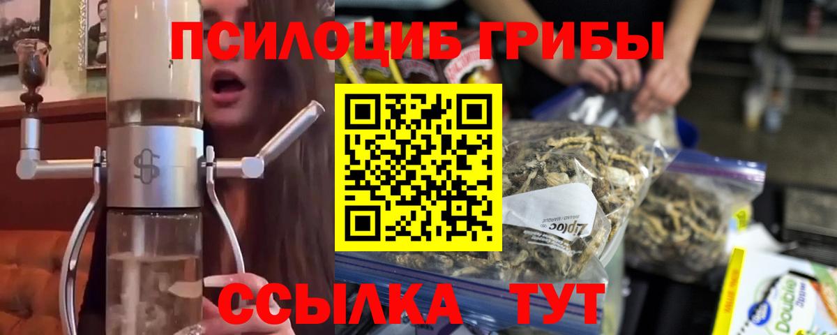 Псилоцибиновые грибы Psilocybine cubensis Сызрань